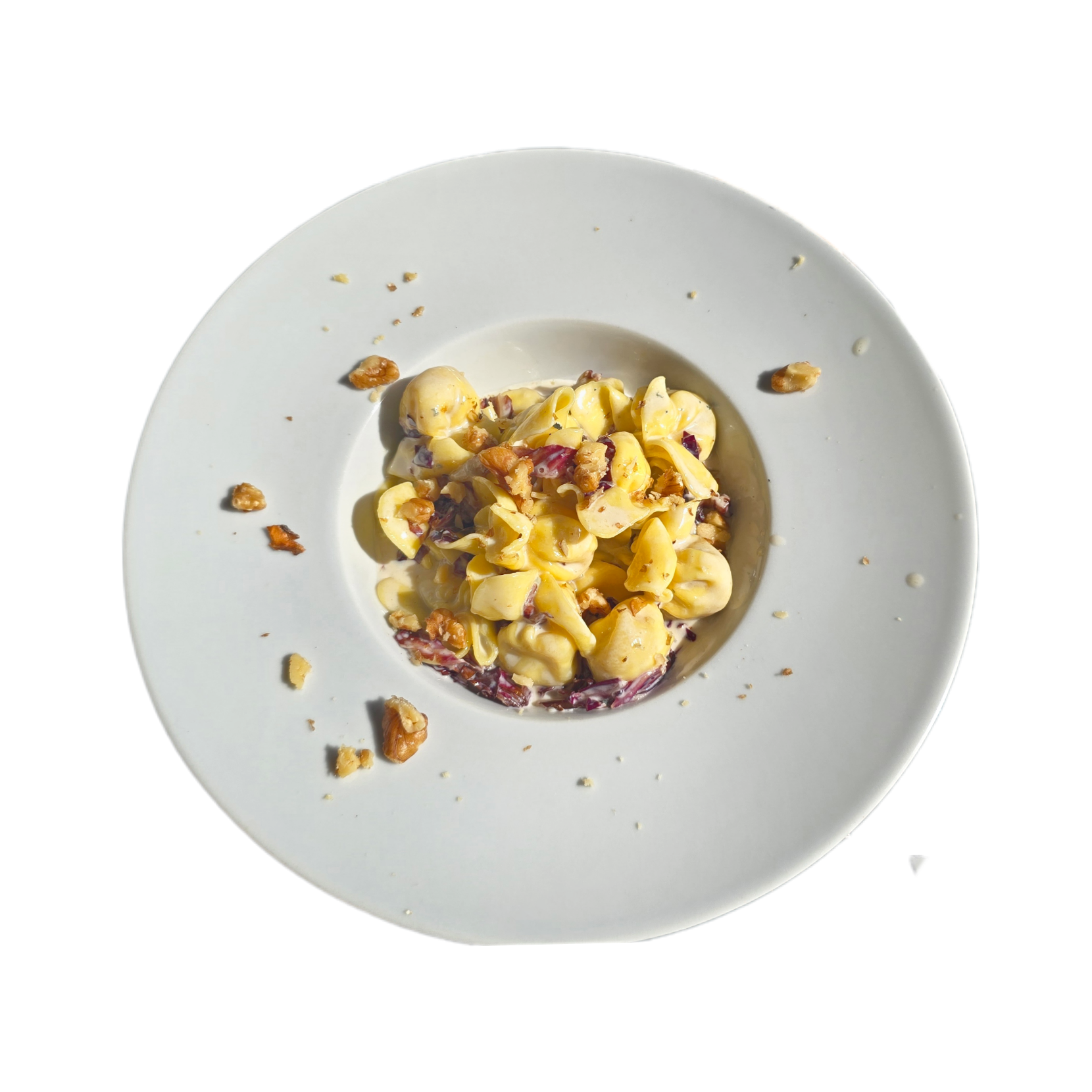 FIOCCHI ANFITEATRO, ripieni di formaggio e pere con fonduta delicata di gorgonzola e noci, radicchio 12€ *